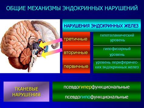 Механизмы и их функции