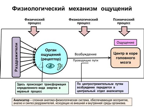 Механизмы сопротивления в психологии