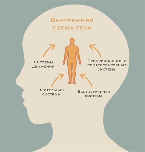 Механизмы феномена озаренного пробуждения у шахидов