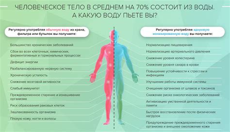 Механизм воздействия на организм