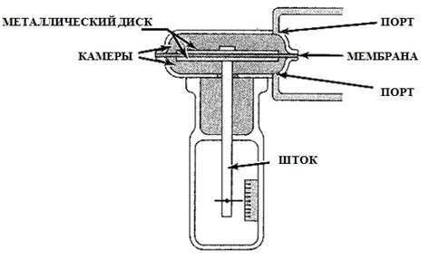 Механизм и принцип действия