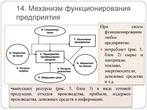 Механизм функционирования Регионального центра бизнеса