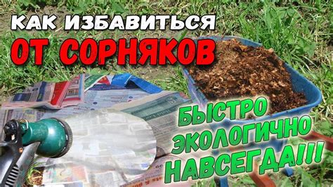 Механические методы борьбы с сорняками