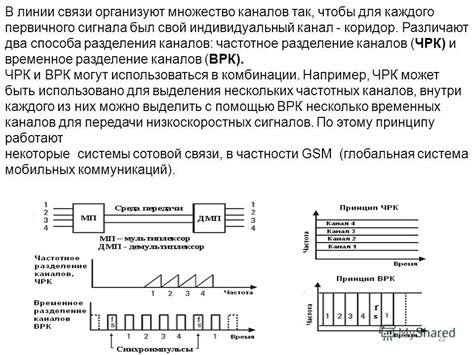 Множество каналов: разнообразие для каждого