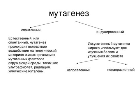 Мутагенез и его использование для изучения функции генов