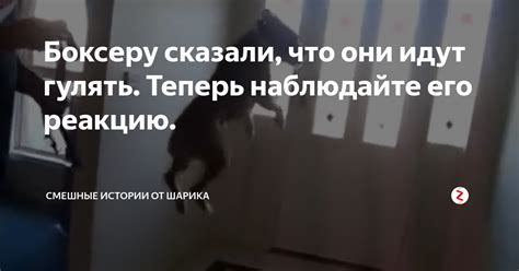 Наблюдайте его реакцию на прозвища