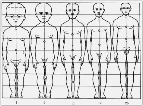 Набросок пропорций и основных форм ребенка: