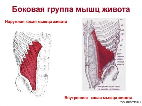 Найдите свои боковые мышцы живота и занимайтесь дыхательной гимнастикой