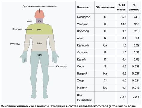 Нарезка и складывание элементов тела