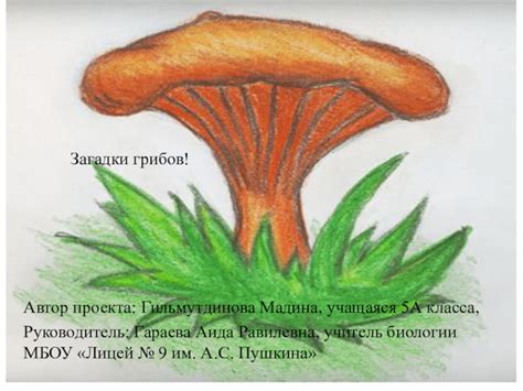 Нарисуйте основной контур