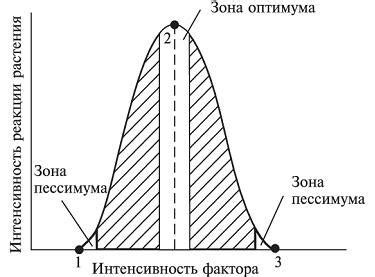 Настройка лимитирующего болта