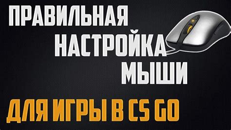 Настройка мыши в CS:GO