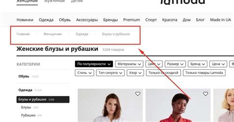 Настройка SEO для оптимизации интернет-магазина