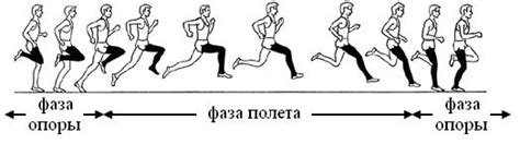 Начальные шаги для обучения бегу на бамперах