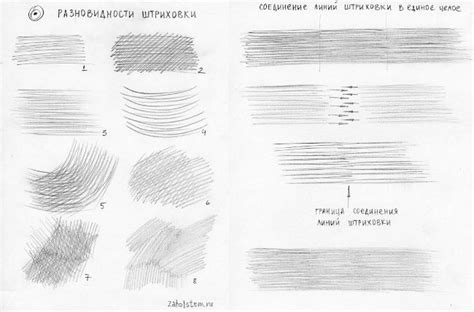 Начальные штрихи рисунка