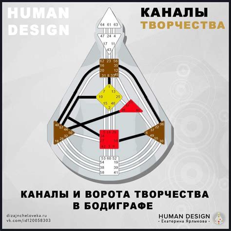 Начертание контуров человека