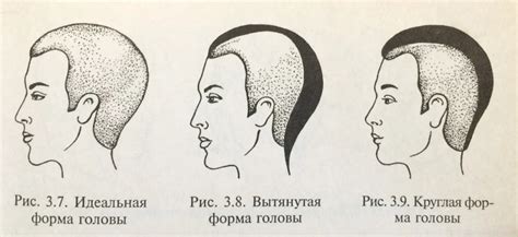 Начертание формы головы