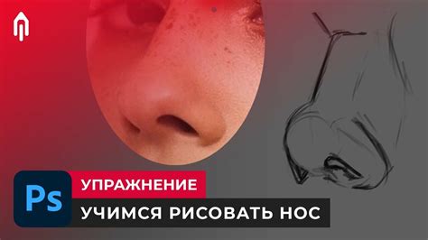 Начертите основную форму носа