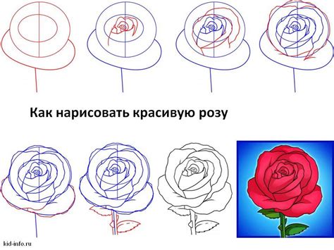 Начните рисовать розу пошагово