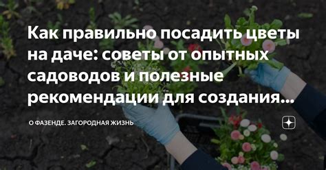 Некоторые полезные советы и рекомендации