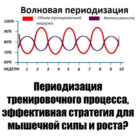 Необходимая стратегия и план тренировочного процесса