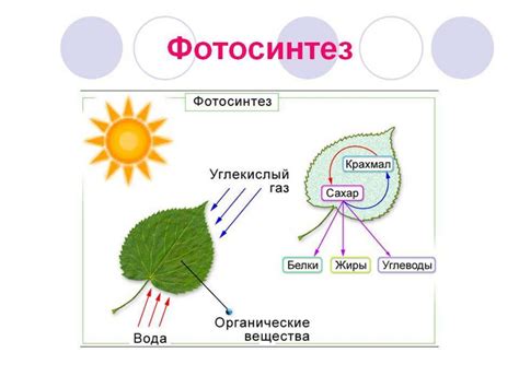 Необходимые условия: