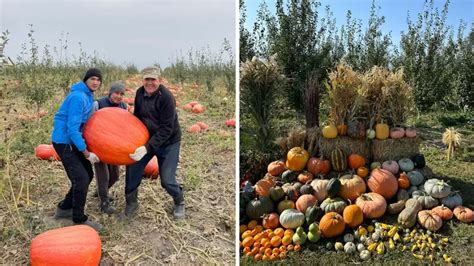 Новости и советы из мира хобби