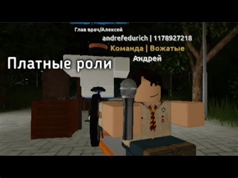 Обзор платных пассов в Roblox