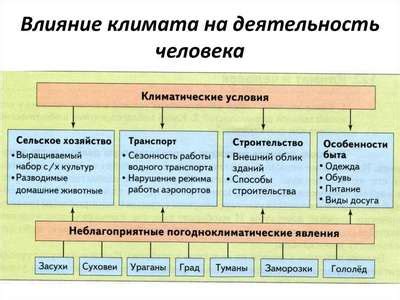 Образ жизни и деятельность