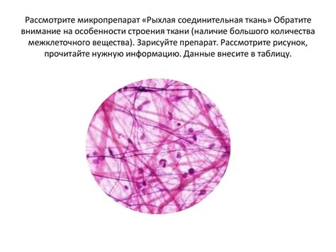 Обратите внимание на воздухопроницаемость ткани