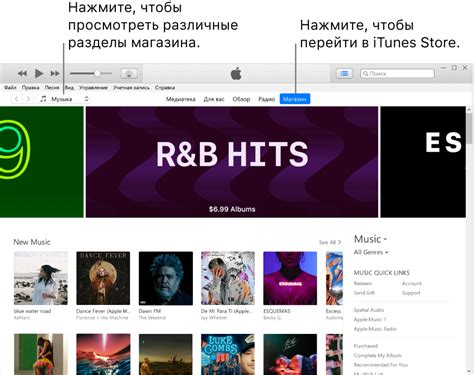 Общая информация о программе iTunes