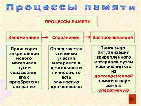 Объекты и процессы в памяти обществознания 6 класс