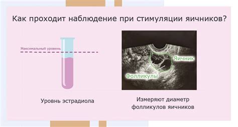 Овариамина для стимуляции яичников