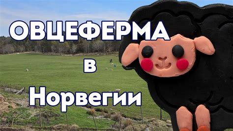 Овцеферма в Майнкрафт