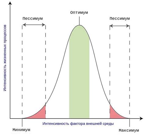 Ограничения и ограничивающие факторы при определении времени активности пользователя в Telegram