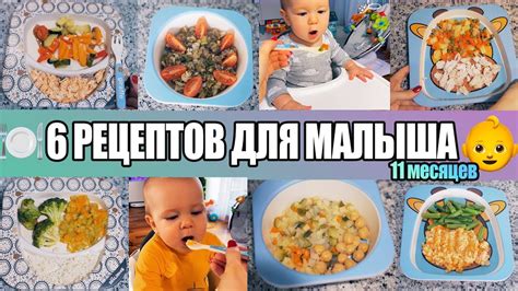 Омлет с мясом для малыша 11 месяцев