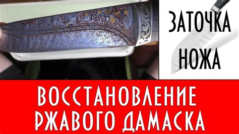 Опасность использования ржавого ножа