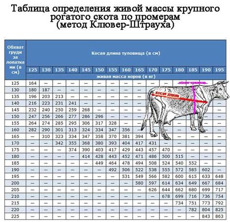 Определение веса по отпечатку