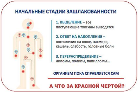 Определение зашлакованности организма