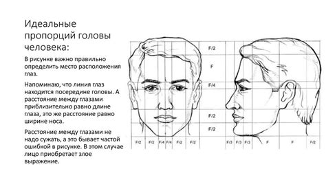 Определение основных пропорций и форм головы