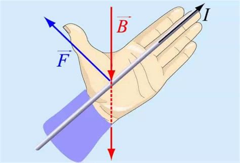 Определение правила левой руки в физике