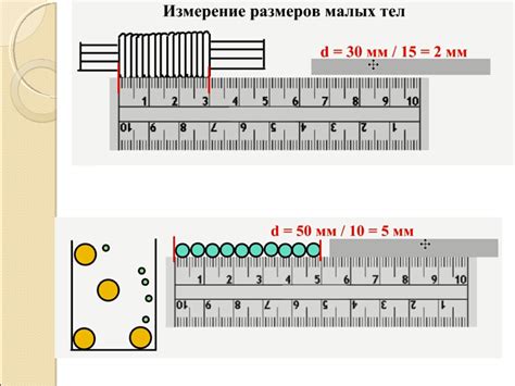 Определение размеров панциря