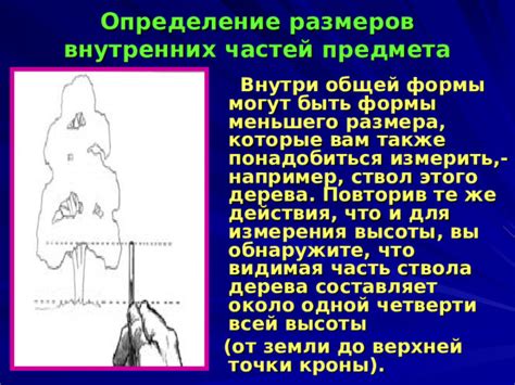 Определение формы и размера дерева перед рисованием