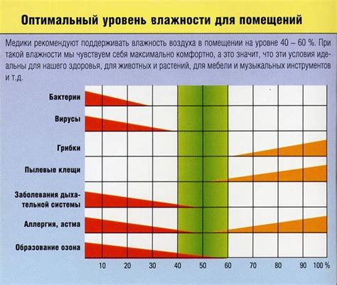 Оптимальная температура и влажность для моркови