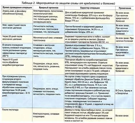 Оптимальное время опрыскивания актары