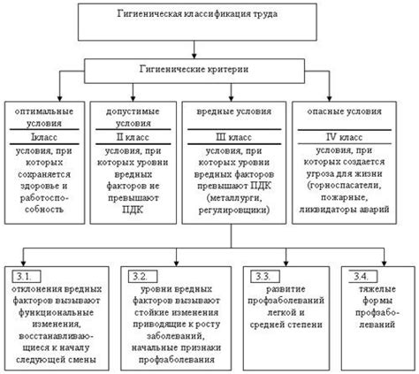 Оптимальные условия содержания: комфорт и безопасность