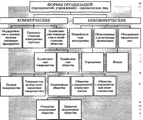 Организации смешанного типа: коммерческие и некоммерческие