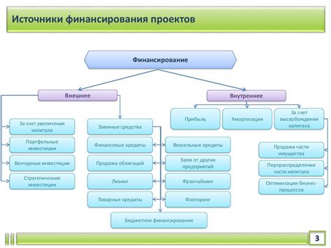 Организация финансирования и поиск спонсоров