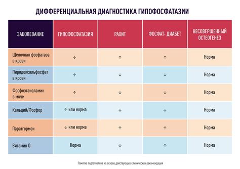 Освежите свои знания анатомии