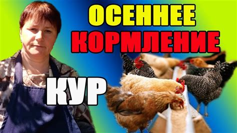 Осеннее кормление